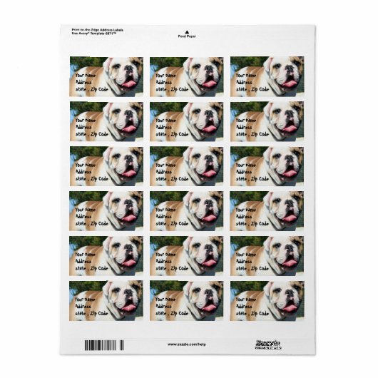 Engelse bulldog etiket (Full Sheet)