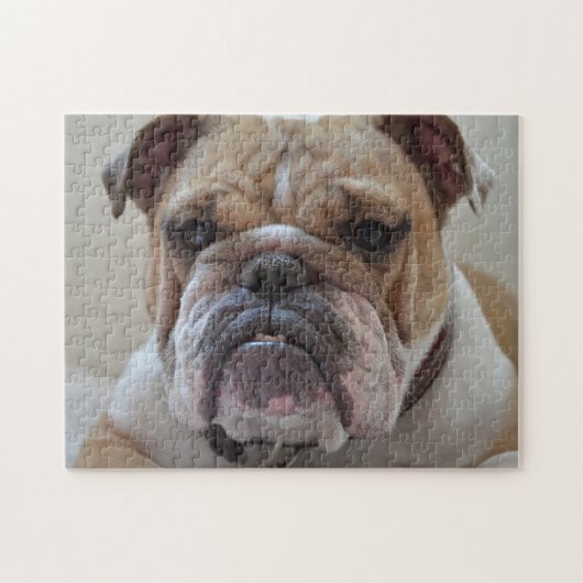 Engelse Bulldog Face Legpuzzel (Horizontaal)
