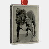 Engelse Bulldog-foto Metalen Ornament (Rechts)