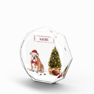 Engelse Bulldog Funny kersthond met boom Fotoblokken