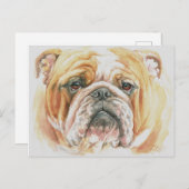 Engelse Bulldog Gezicht Waterverf schilderij Briefkaart (Voorkant / Achterkant)