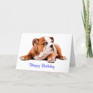 Engelse Bulldog Happy Birthday Kaart - Verse Insid