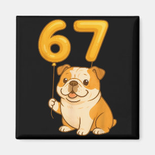 Engelse Bulldog Hond Grappig 67 Meme Zes Zeven Bal Magneet