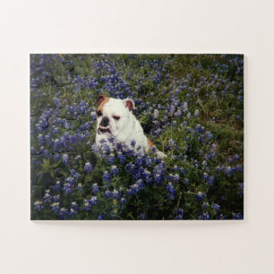 Engelse Bulldog in Texas Bluebonnets Puzzle Legpuzzel