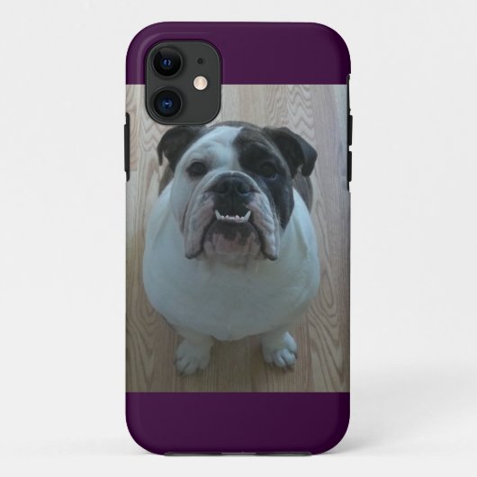 Engelse bulldog iPhone 5 hoesje houder (Achterkant)