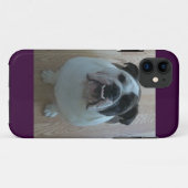 Engelse bulldog iPhone 5 hoesje houder (Achterkant (horizontaal))