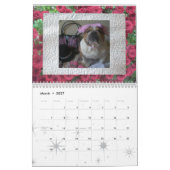 Engelse bulldog kalender! kalender (Mar 2027)
