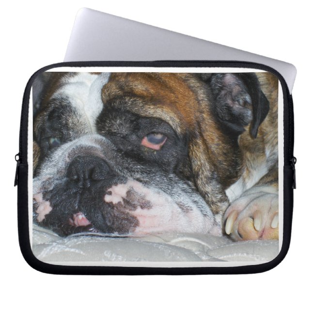Engelse Bulldog Laptop Sleeve (Voorkant)