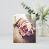Engelse Bulldog Lying Dog | Dog Photo Kaart (Staand voorkant)