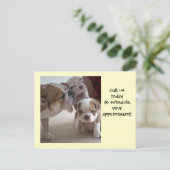 Engelse Bulldog Mam &Pups briefkaart shot herinner (Staand voorkant)