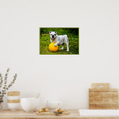 Engelse Bulldog met Ball Poster (Keuken)