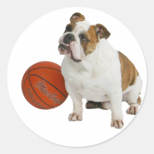 Engelse Bulldog met basketbal Ronde Sticker
