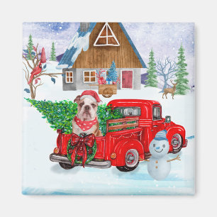 Engelse Bulldog met kerstcadeau Truck Snow Magneet
