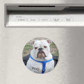 Engelse Bulldog Missy Magnet Magneet (Insitu (Vaatwasser))