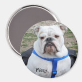 Engelse Bulldog Missy Magnet Magneet (Voorkant / Achterkant)