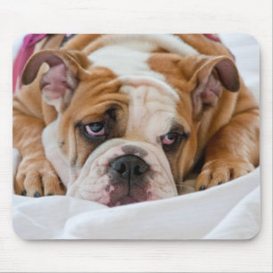 Engelse Bulldog Muismat