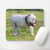 Engelse Bulldog Muismat (Met muis)