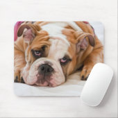 Engelse Bulldog Muismat (Met muis)