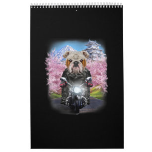Engelse Bulldog on Motorcycle tour Japans Sakura Kalender