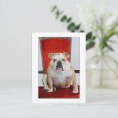 Engelse bulldog op de troon briefkaart (Staand voorkant)