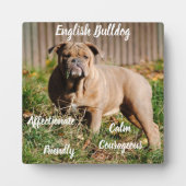 Engelse Bulldog Plaque met Ezel Fotoplaat (Voorkant)