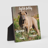 Engelse Bulldog Plaque met Ezel Fotoplaat (Voorkant)