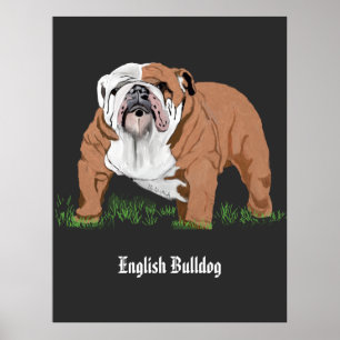 Engelse Bulldog Poster