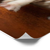 Engelse Bulldog Puppies Echt waar Poster (Hoek)