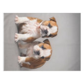 Engelse Bulldog Puppies | Kogelhond van de paardeh Tafelkleed (Voorkant (Horizontaal))