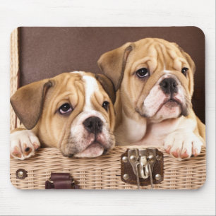 Engelse Bulldog Puppies Mousepad Muismat