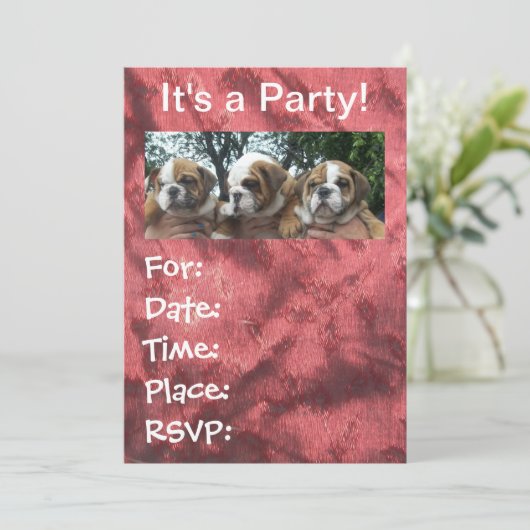 Engelse Bulldog Puppies party Invitations Kaart (Staand voorkant)