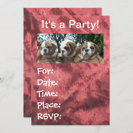 Engelse Bulldog Puppies party Invitations Kaart (Voorkant / Achterkant)