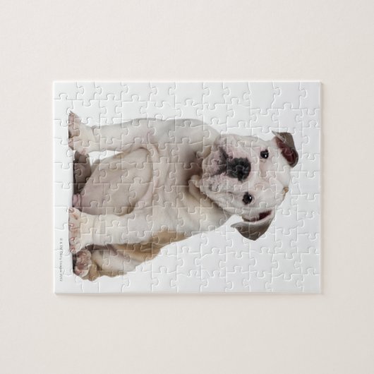 Engelse bulldog puppy (2 maanden oud) legpuzzel (Horizontaal)