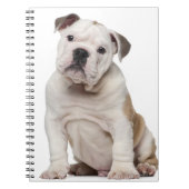Engelse bulldog puppy (2 maanden oud) notitieboek (Voorkant)