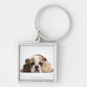 Engelse bulldog puppy (4 maanden oud) en twee sleutelhanger
