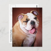 Engelse bulldog Puppy Briefkaart (Voorkant / Achterkant)