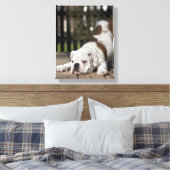 Engelse bulldog Puppy Canvas Afdruk (Insitu (Slaapkamer))