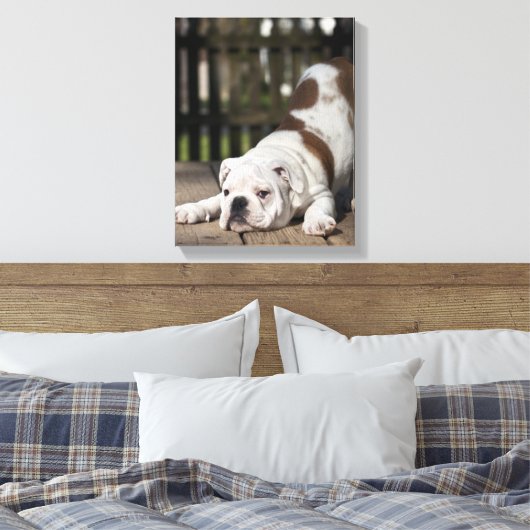 Engelse bulldog Puppy Canvas Afdruk (Insitu (Slaapkamer))