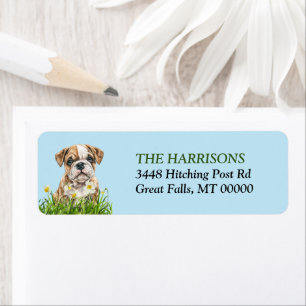 Engelse Bulldog Puppy Daffodil Garden Etiket