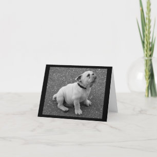 Engelse Bulldog Puppy Dog Blank Greet Note Card Kaart