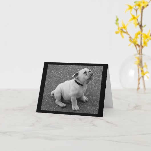 Engelse Bulldog Puppy Dog Blank Greeting Note Kaar Kaart (Gele Bloem)