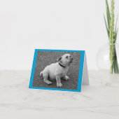 Engelse Bulldog Puppy Dog Blank Greeting Note Kaar Kaart (Voorkant)