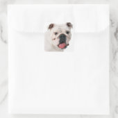 Engelse Bulldog Puppy Dog Sticker / Seal (Tas)