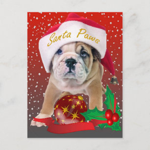 Engelse bulldog puppy in Santa Hat Kaarten Feestdagenkaart