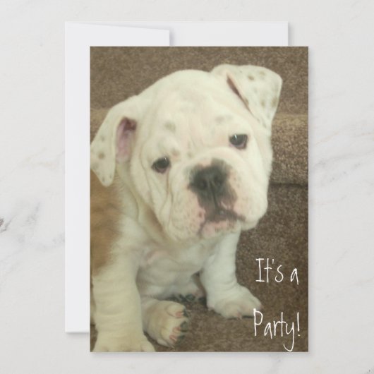 Engelse Bulldog Puppy Invitation Party Kaart (Voorkant)