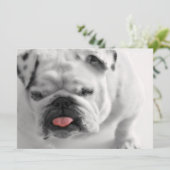Engelse bulldog Puppy Kaart (Staand voorkant)