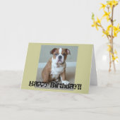 Engelse bulldog Puppy Kaart (Gele Bloem)