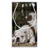 Engelse bulldog Puppy Klein Cadeauzakje (Achterkant)
