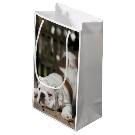 Engelse bulldog Puppy Klein Cadeauzakje (Achterkant Gekanteld)