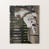 Engelse bulldog Puppy Legpuzzel (Verticaal)